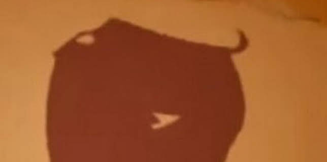 07:30: Nuestro Campo Bravo | Castilla la Mancha TV | 12/13 2025