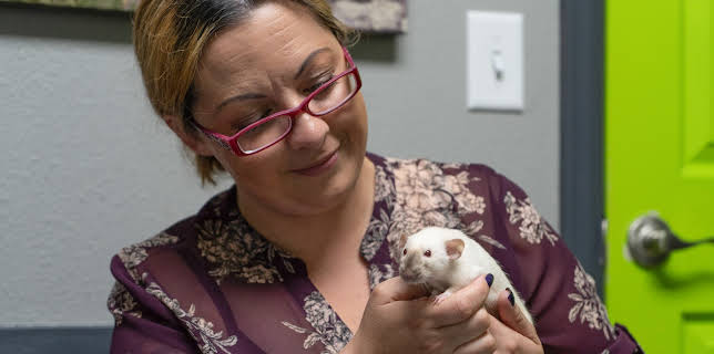 18:00: Dr. Jeff: Rocky Mountain Vet (S6 E8) (S6) | Animal Planet | 11/25 2025