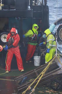 17:47: Pesca radical: ¡Novato al agua! | Discovery Max | 10/19 2026