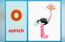 Phonics Fun: The O Song (Lowercase)