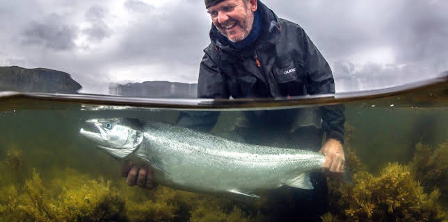 13:45: Den fantastiske villaksen | NRK 2 | 11/20 2025