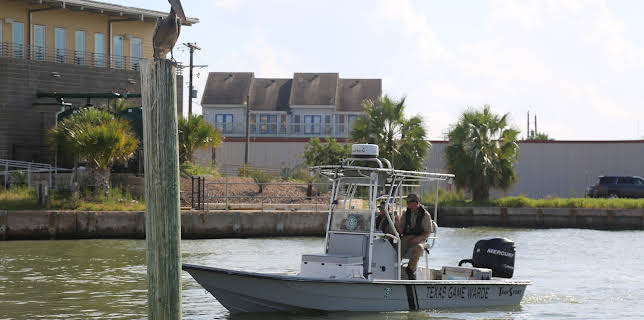 03:00: Lone Star Law  (S4 E9) (S4) | Animal Planet | 2/15 2026