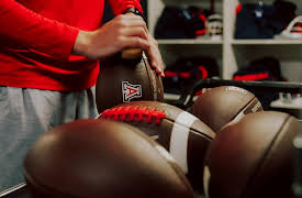 Big 12: Uncovered, Season 1: Arizona Wildcats - Bear Down