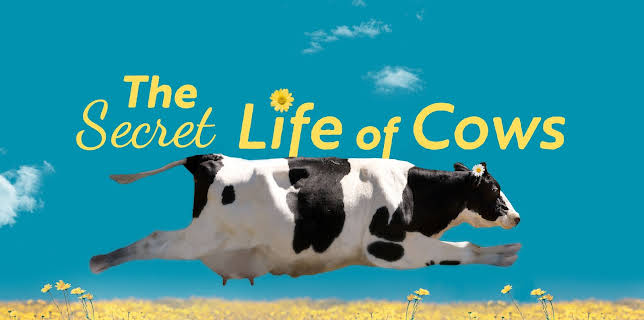 The Secret Life of Cows