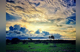 Keeping Up with the Kruger: Welcome to the Kruger