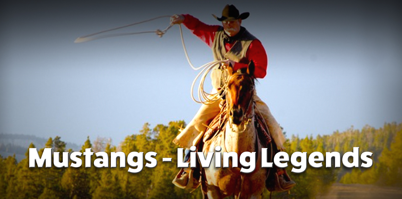 Mustangs - Living Legends