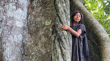 12:55: Die Hüter des Waldes (5/5) | Arte | 3/28 2026