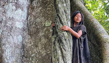 Die Hüter des Waldes (5/5)