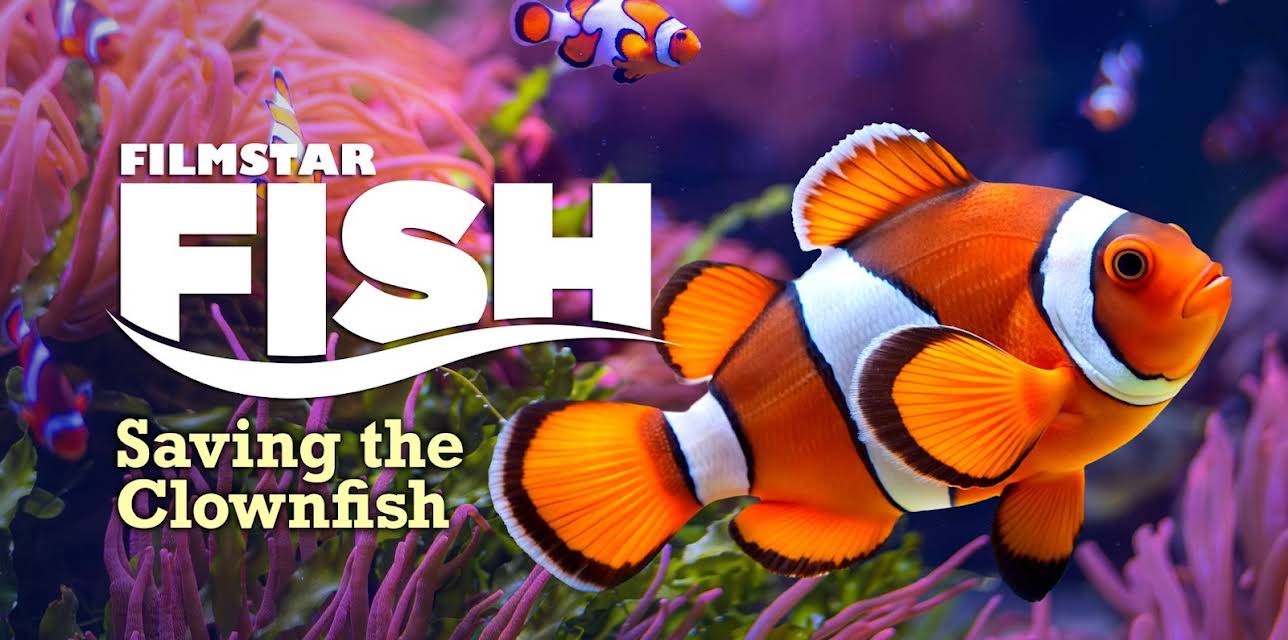Filmstar Fish (2026)