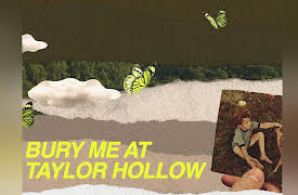 Reel South, Volume 7: Bury Me At Taylor Hollow