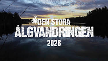 13:30: Historien om Älgvandringen | SVT1 | 9/12 2026
