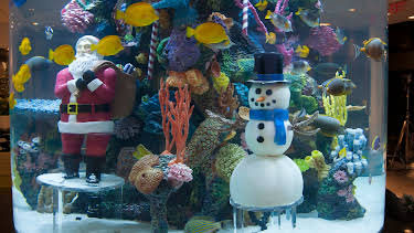 02:30: Tanked (S3 E19) (S3) | Animal Planet | 12/30 2025