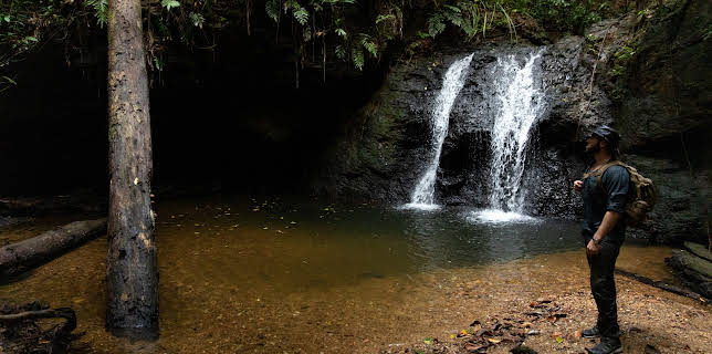 00:00: Extinct Or Alive (S2 E9) (S2) | Animal Planet | 3/17 2026