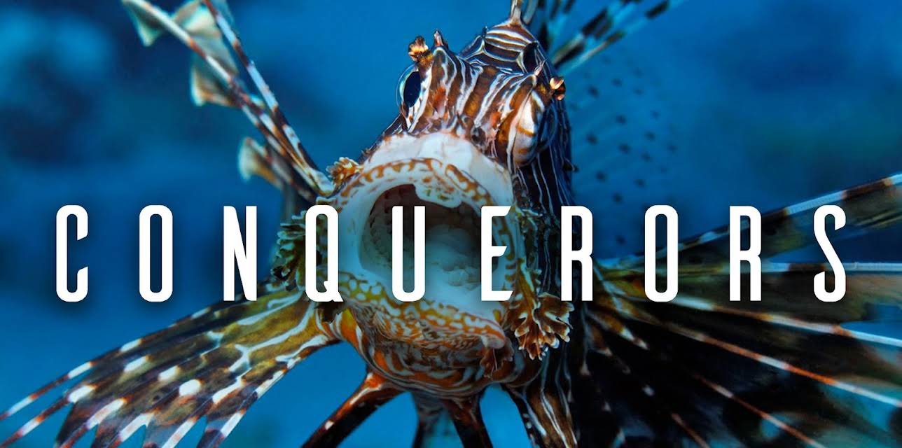 Conquerors