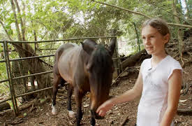 Pets in Paradise: Off to the Races