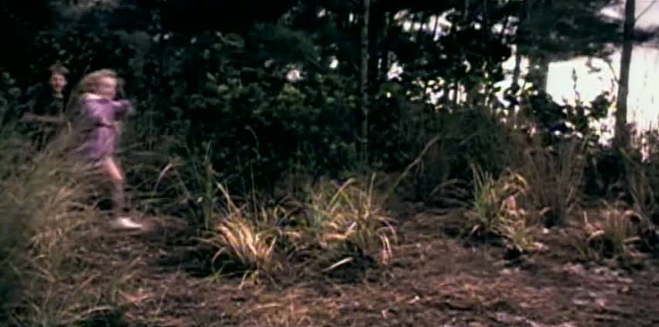 Sweet Home Alabama (2002)