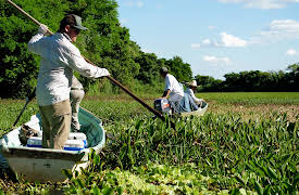Fish or Die  Season 1: Tacos & Tarpon