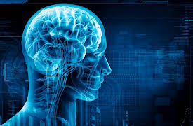 Understanding the Brain: Historical Underpinnings of Neuroscience