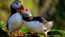 Großbritannien - Im Rhythmus der Natur