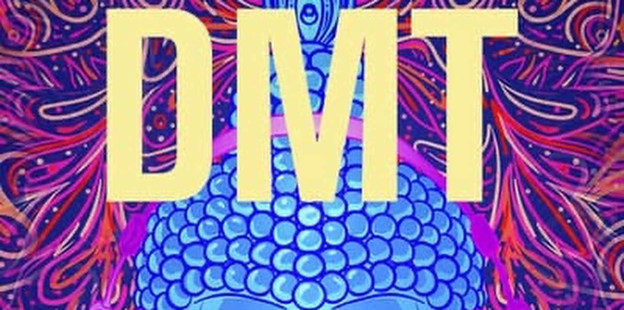 DMT (2022)