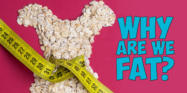 Why Are We Fat? (2018)