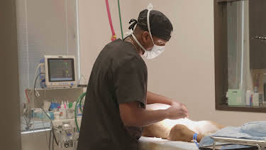 11:20: The Vet Life (S3 E7) (S3) | Animal Planet | 12/24 2025