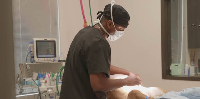 10:20: The Vet Life (S3 E7) (S3) | Animal Planet | 12/24 2025