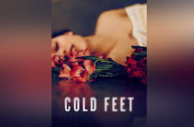 Cold Feet, Season 1: Cold Feet