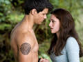 The Twilight Saga: New Moon