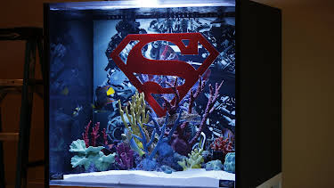 22:00: Tanked (S4 E18) (S4) | Animal Planet | 5/17 2026