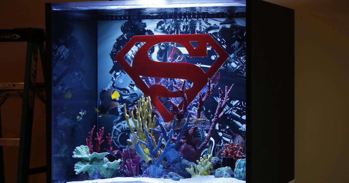 20/2 10:25 | Tanked på Animal Planet