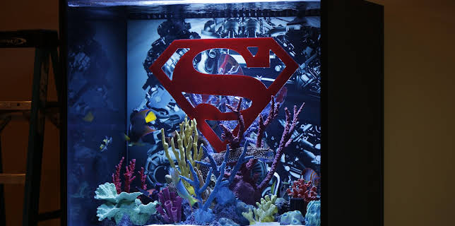 09:25: Tanked (S4 E18) (S4) | Animal Planet | 2/20 2026