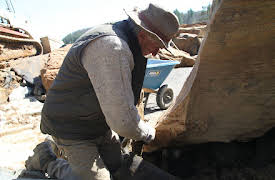 The Pool Master: Episode 4