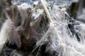 Practical Geology: Medical Geology: From Healthful to Harmful