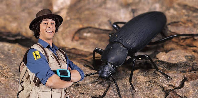 2:25 PM: Andy's Safari Adventures (S1) | Cbeebies | 11/25 2025