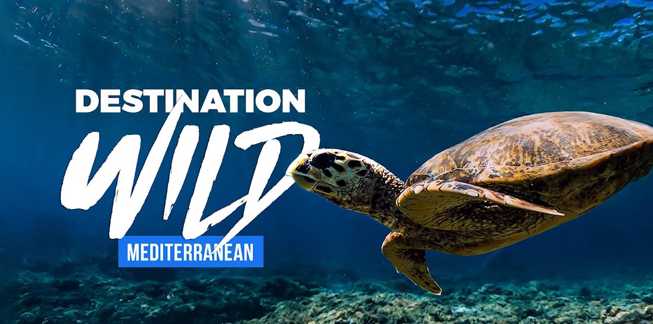 Destination Wild Mediterranean