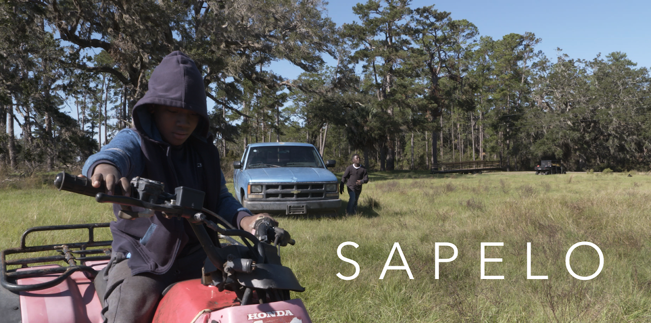 Sapelo (2022)