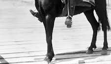 China - Wie eine Nation entstand