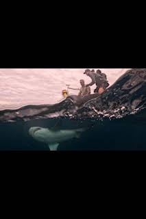 21:30: Los últimos gigantes: Episodio 4 | Caza y Pesca | 3/12 2026