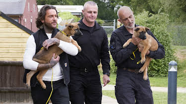 3:00 PM: Pete Wicks: For Dogs' Sake (S3 E2) (S3) | W | 4/6 2026