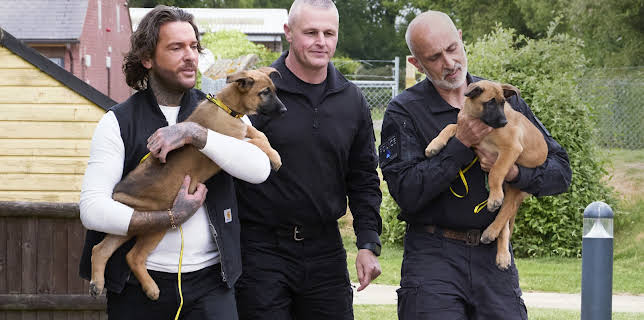 9:00 PM: Pete Wicks: For Dogs' Sake (S3 E2) (S3) | W | 1/12 2026