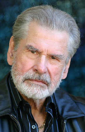 Adam Gregor as Special Agent Cushko