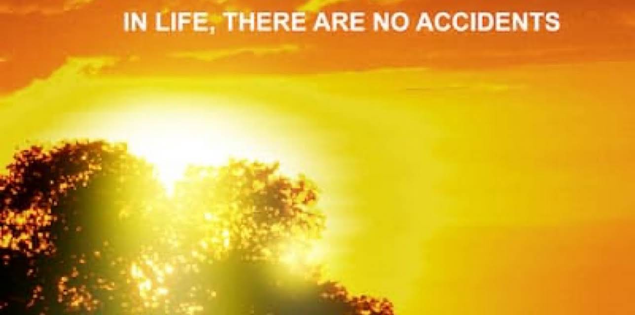 The Accidental Missionary (2015)