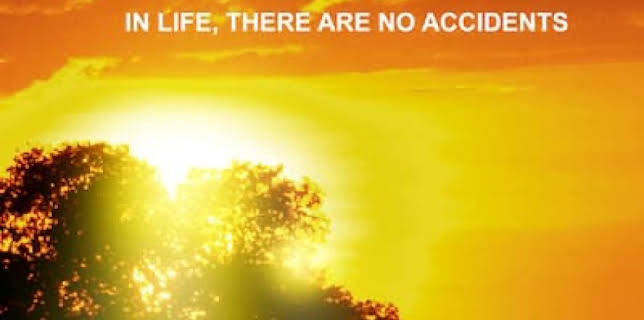 The Accidental Missionary (2015)