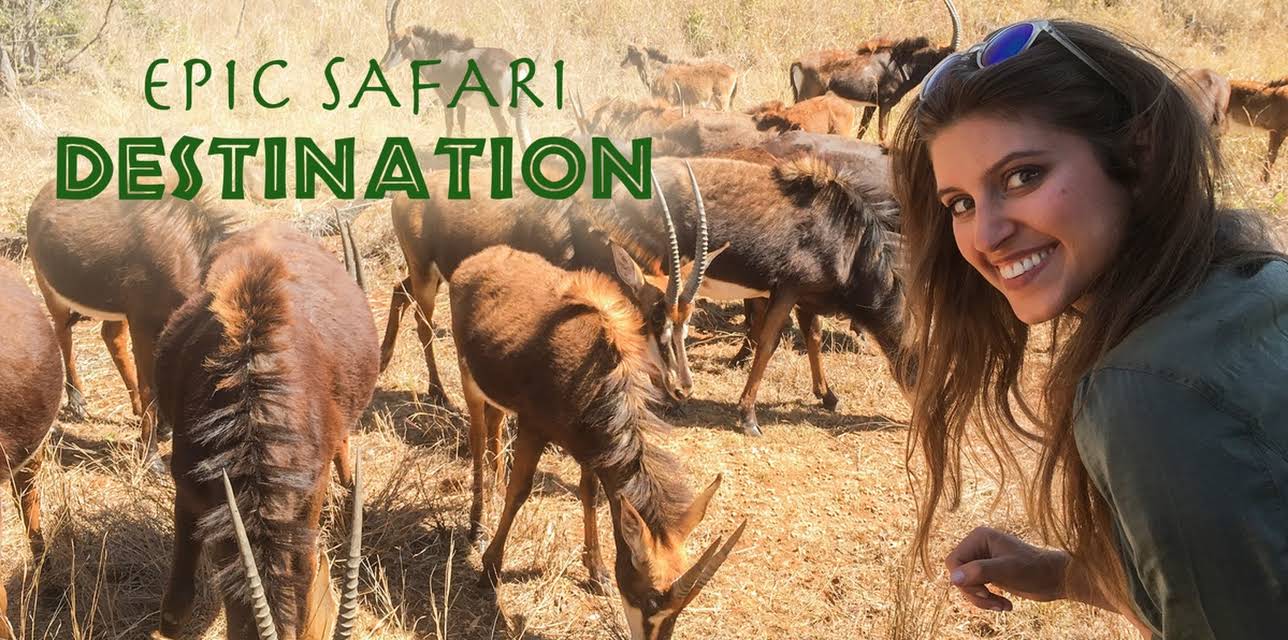 EPIC SAFARI ENCOUNTERS