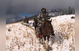 Extreme Outer Limits: Above the timberline Mule Deer