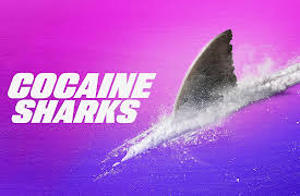 Cocaine Sharks, Season 1: Cocaine Sharks
