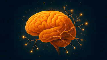 22:35: Neurodiversität - Wie normal ist anders? | MDR Fernsehen | 4/23 2026