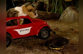 Once Upon A Hamster Season 1: Granny Rabbit