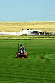 14:17: Así se hace (MAX): Césped/Carne de ternera curada/Bolos | Discovery | 4/2 2026